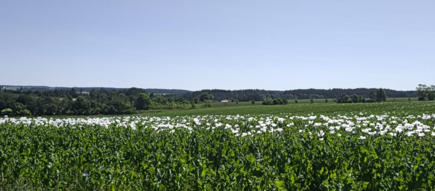 IMG-20250614-WA0007