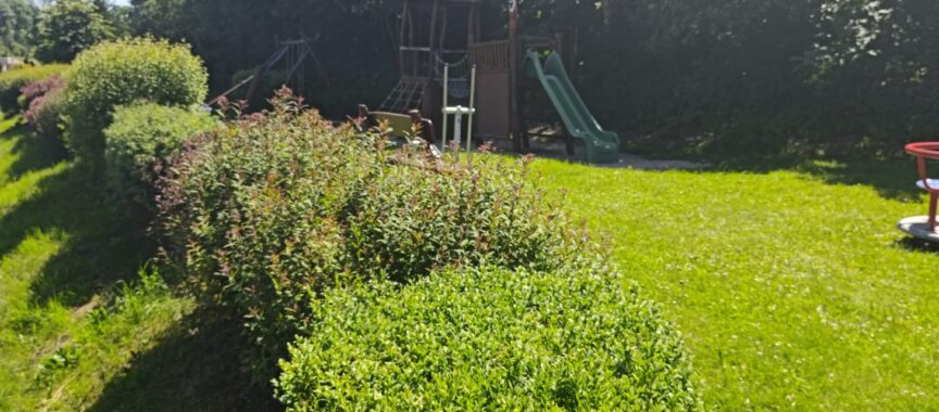 IMG-20250614-WA0028